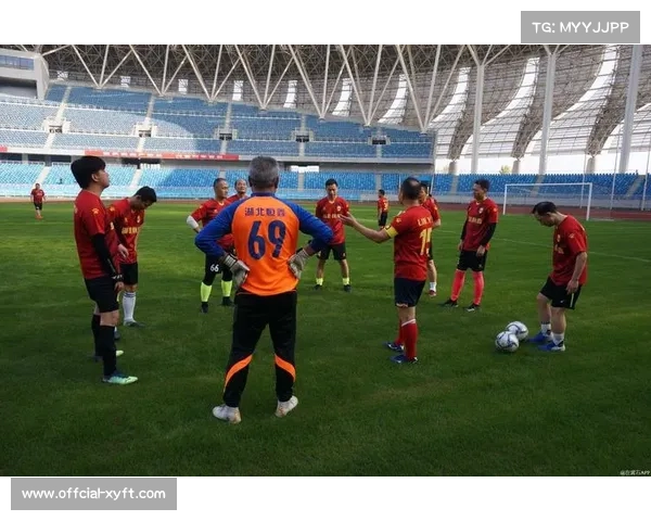 足球热潮再起，民间赛事与业余参与度提升